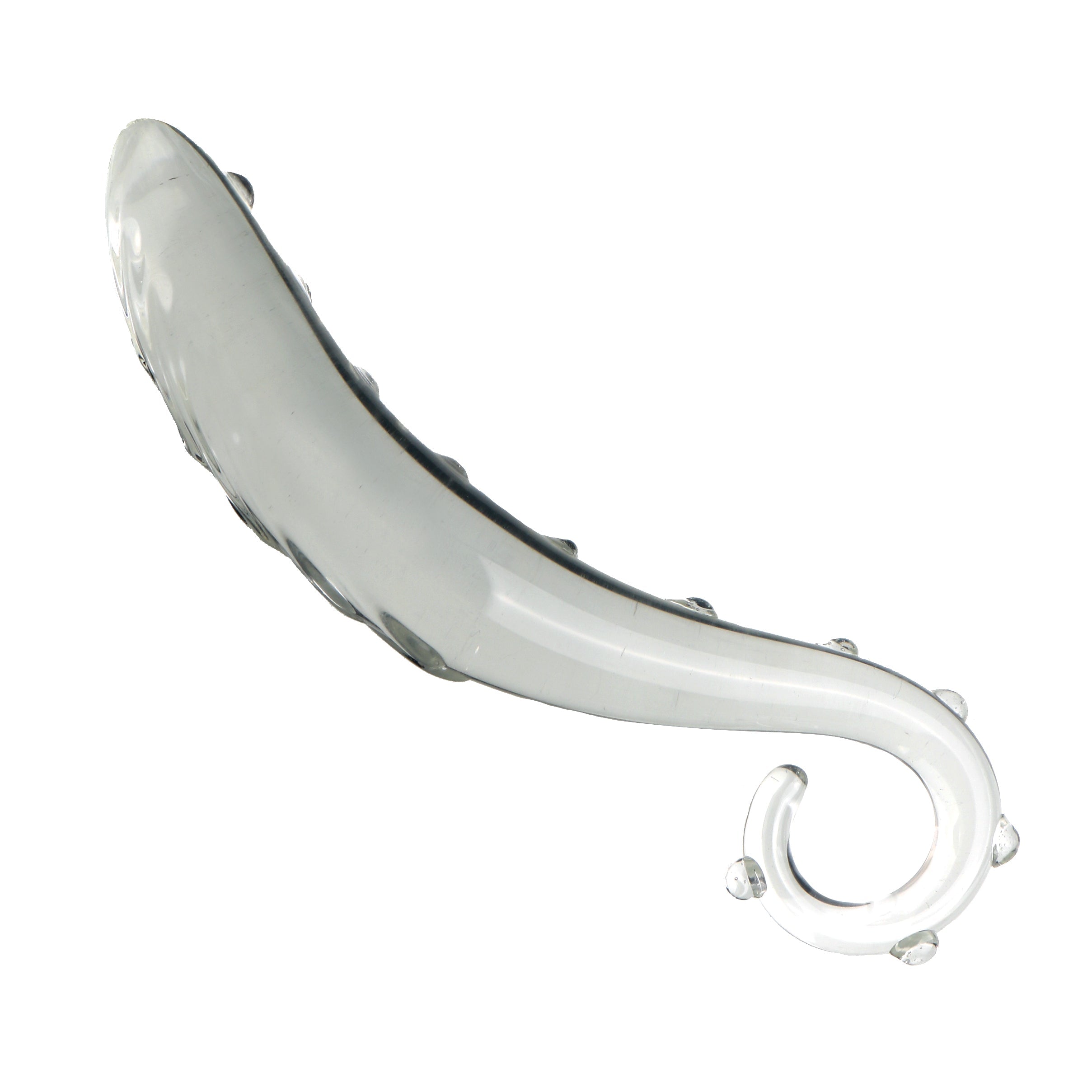 Klar Hippocampus-Wulst Gspott Glasdildo