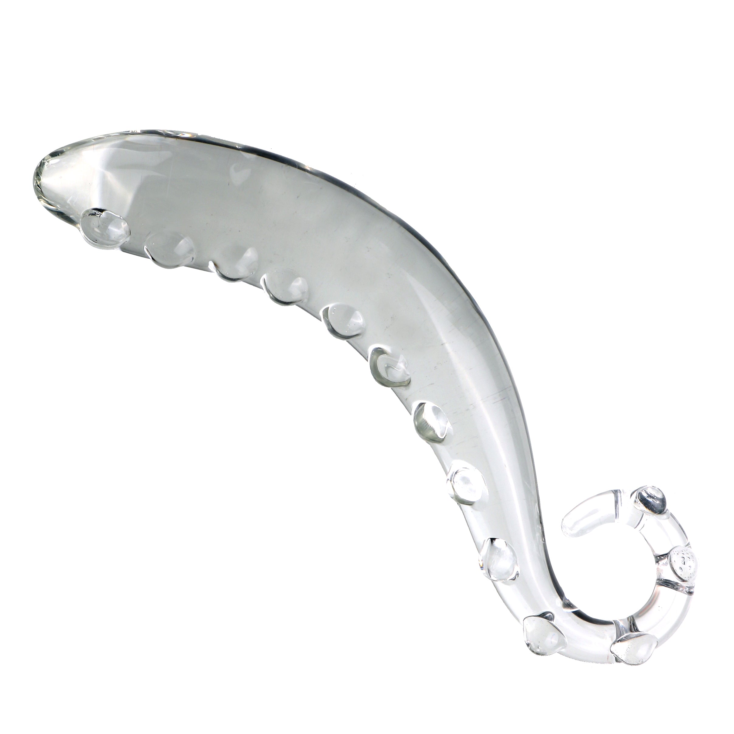 Klar Hippocampus-Wulst Gspott Glasdildo