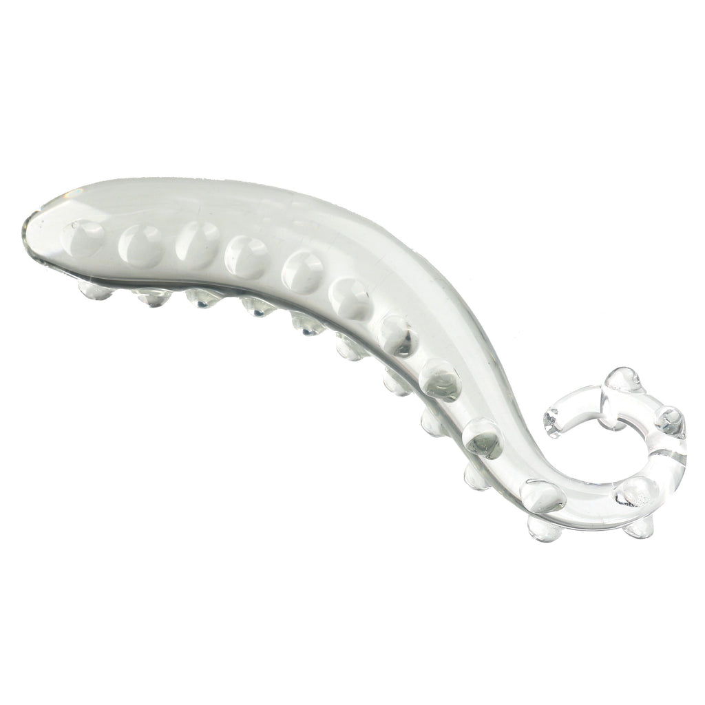 Klar Hippocampus-Wulst Gspott Glasdildo