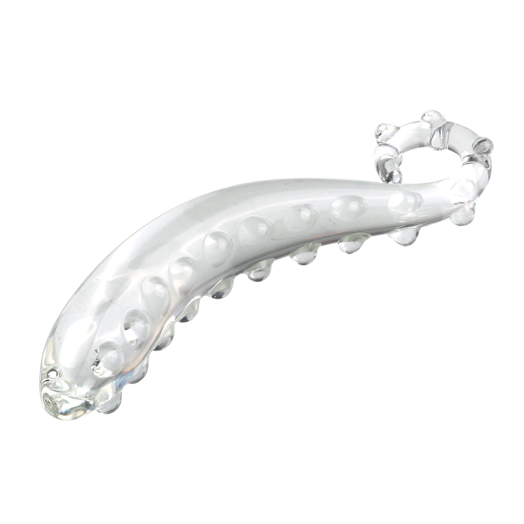 Klar Hippocampus-Wulst Gspott Glasdildo