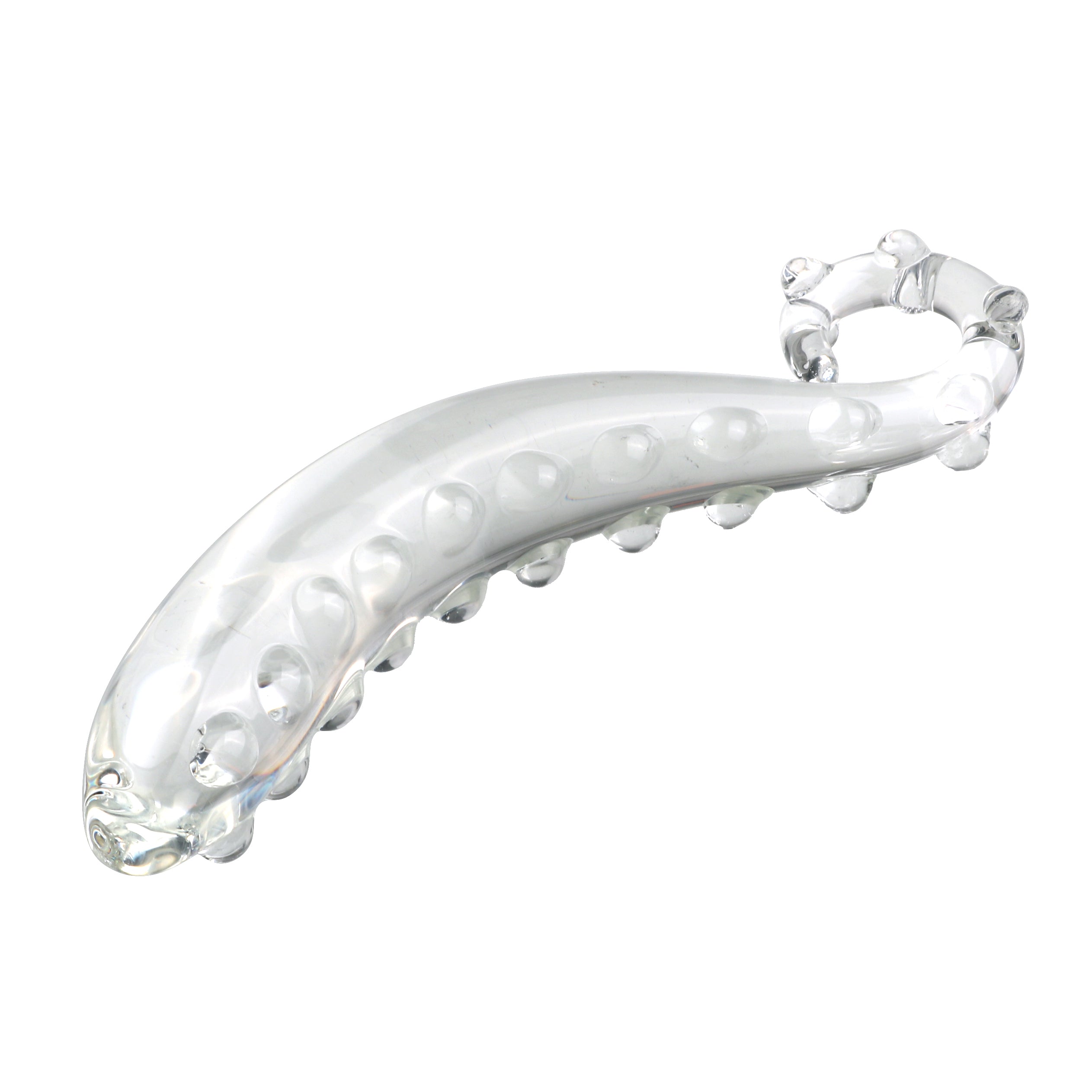 Klar Hippocampus-Wulst Gspott Glasdildo