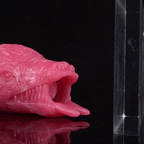 17 CM Luftpumpe Böser Drache Dildo Ovipositor